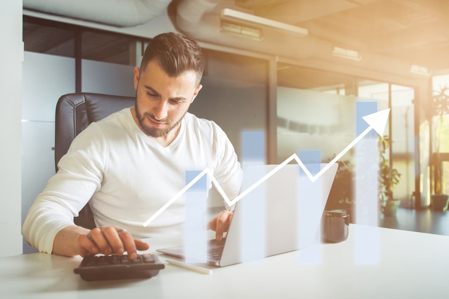 Contabilidade em Goiânia