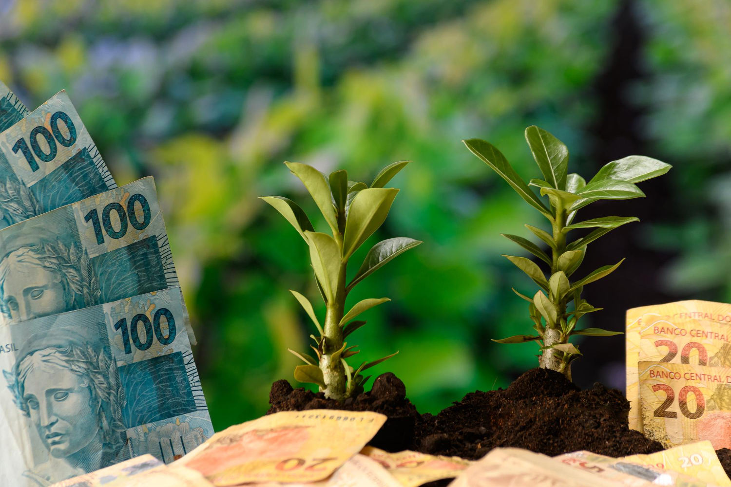 Tributação de fertilizantes no Brasil o que muda com a Reforma Tributária em 2026