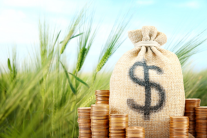 CBS e IBS na agroindústria como a nova tributação impacta a cadeia produtiva e a margem de lucro