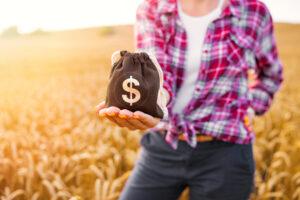 Como funciona o crédito de IBS e CBS para o agronegócio o que muda na prática