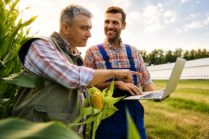 Holding rural e sucessão familiar como estruturar com eficiência